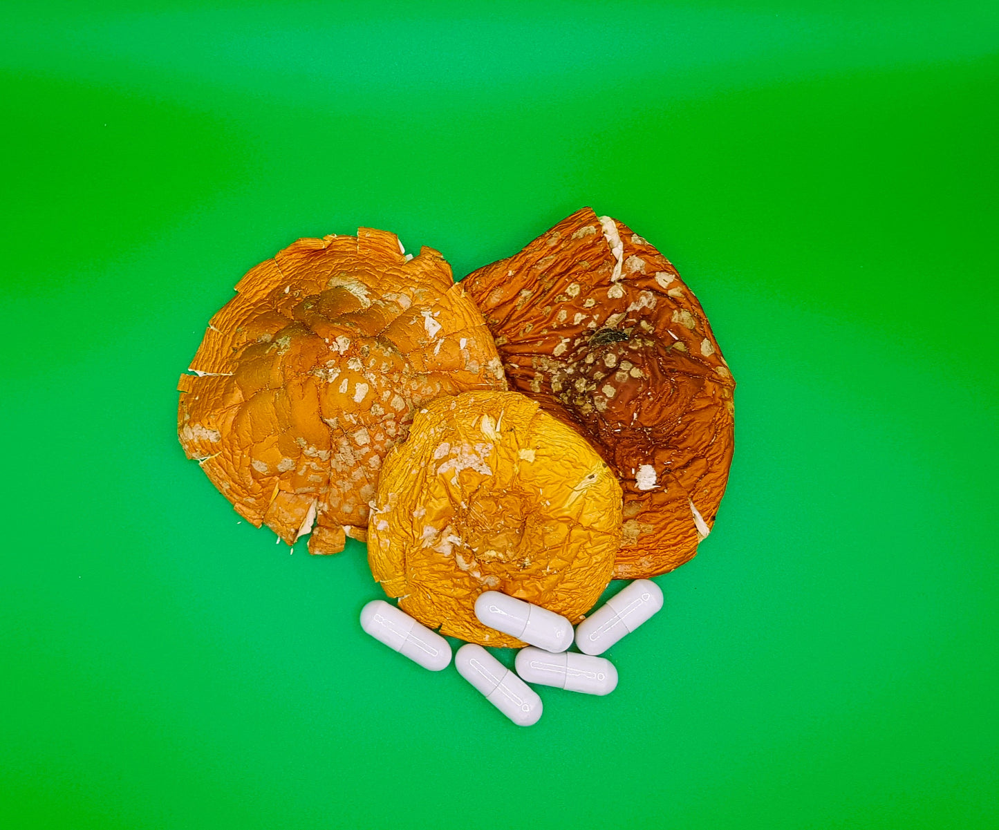 Fly agaric capsules